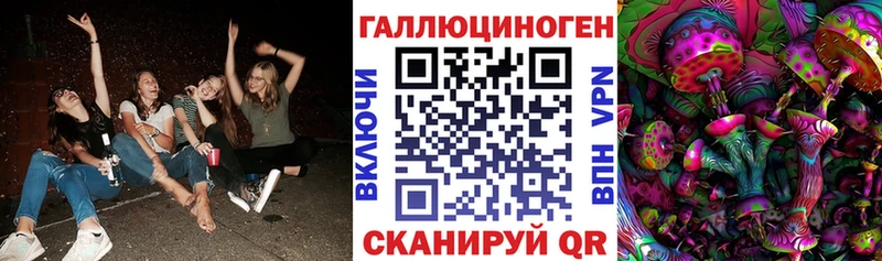 Галлюциногенные грибы Psilocybe  Губкинский 