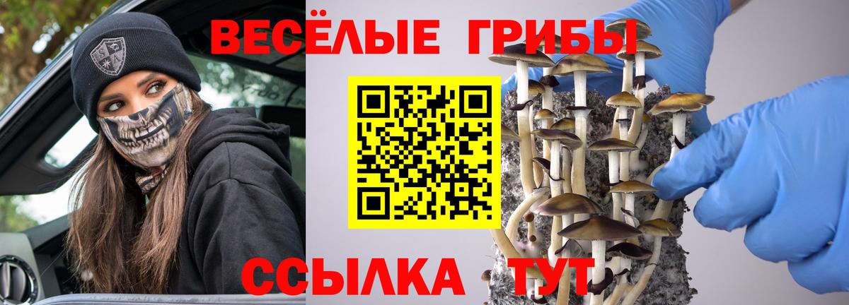Губкинский  Alpha PVP СОЛЬ   КОКАИН  Конопля  Гашиш  Вход с VPN  Гашиш  Меф МЯУ МЯУ кристаллы 