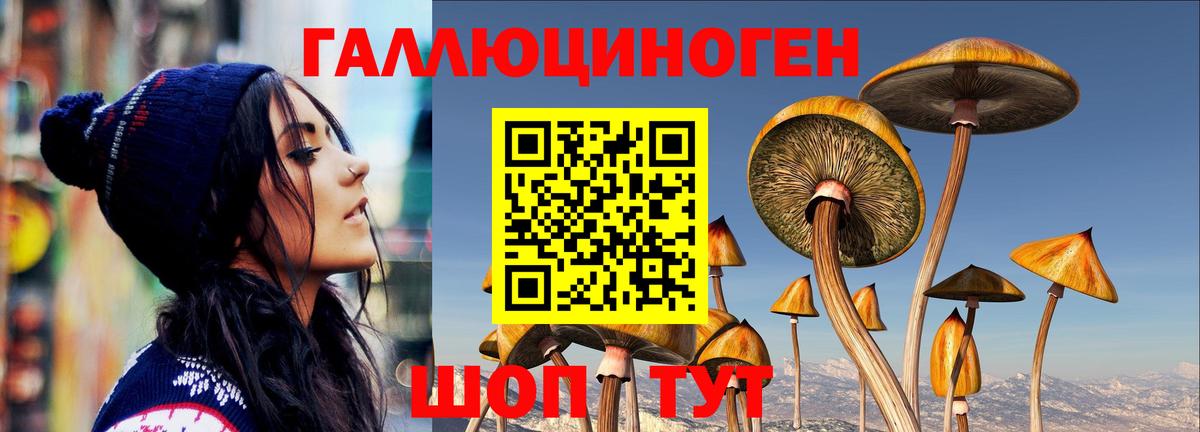 наркошоп  Галлюциногенные грибы GOLDEN TEACHER  Губкинский  Вход с VPN  Галлюциногенные грибы GOLDEN TEACHER 